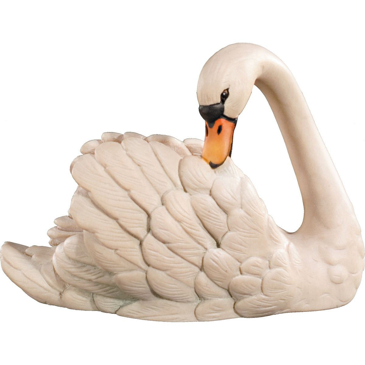 Cisne cabeza hacia atrás